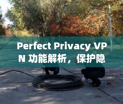 Perfect Privacy VPN 功能解析，保护隐私与提升体验的完美解决方案