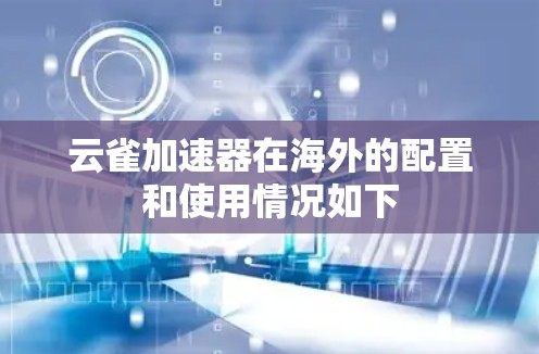 云雀加速器在海外的配置和使用情况如下