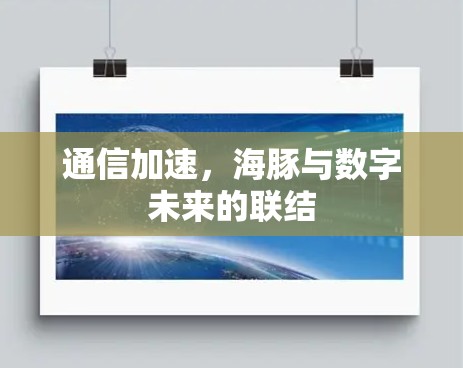 通信加速，海豚与数字未来的联结