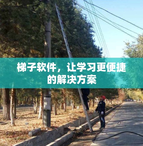 梯子软件，让学习更便捷的解决方案