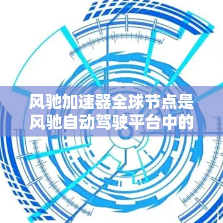 风驰加速器全球节点是风驰自动驾驶平台中的一个关键组成部分，其功能主要涉及优化车辆在道路两边的资源分配，以确保车辆在不同路况下的安全和舒适行驶。以下是对该节点的详细分析