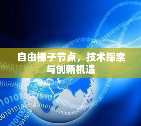 自由梯子节点，技术探索与创新机遇