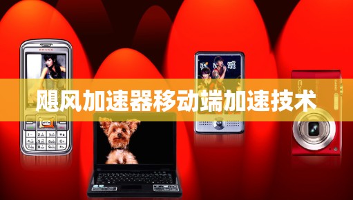 飓风加速器移动端加速技术