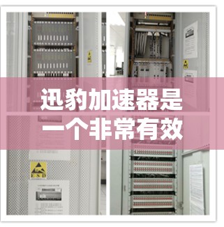 迅豹加速器是一个非常有效的网页加载速度提升工具，用户可以在手机上轻松下载并使用。以下是迅豹加速器的详细介绍