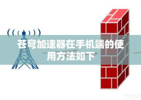 苍穹加速器在手机端的使用方法如下