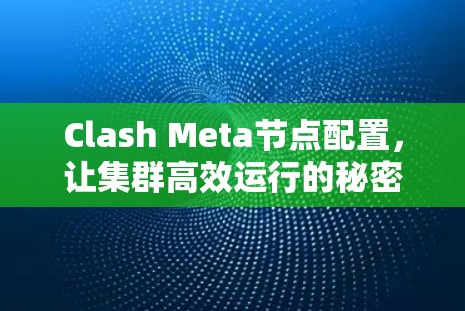Clash Meta节点配置，让集群高效运行的秘密指南