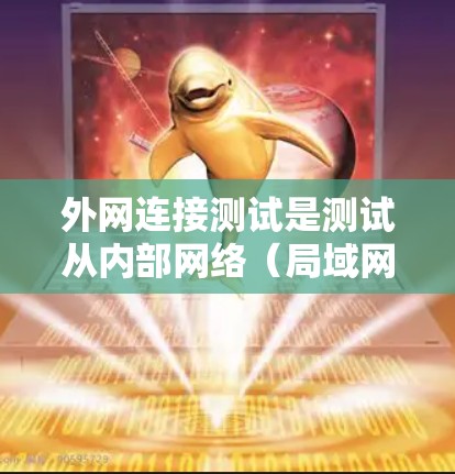 外网连接测试是测试从内部网络（局域网）连接到外部网络（如综合广播器、局域网广播器或综合广播端点）的能力。以下是一些常见的步骤和注意事项