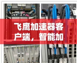 飞鹰加速器客户端，智能加速，高效运行，满足用户需求