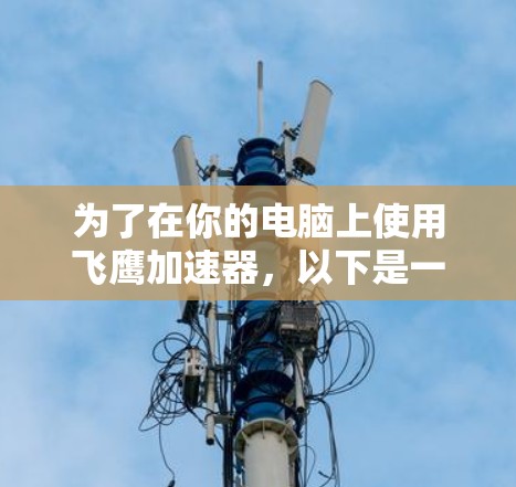 为了在你的电脑上使用飞鹰加速器，以下是一些步骤和建议