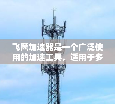 飞鹰加速器是一个广泛使用的加速工具，适用于多种场景，包括网页加速、数据库加速、视频加速、云加速等。以下是一些常见的飞鹰加速器节点推荐，根据不同的需求和场景进行分类