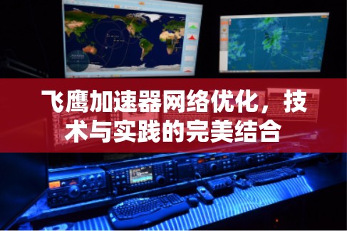 飞鹰加速器网络优化，技术与实践的完美结合