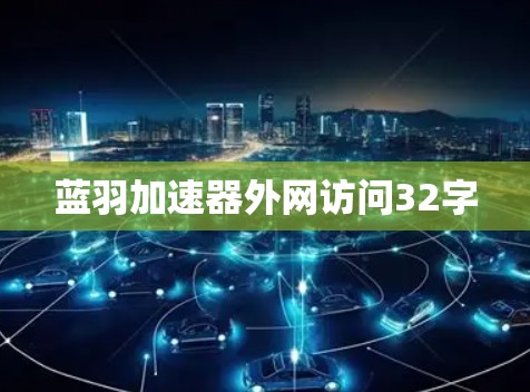 蓝羽加速器外网访问32字