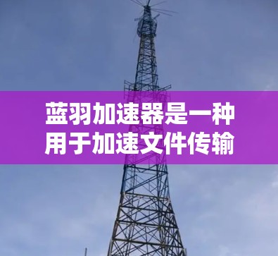 蓝羽加速器是一种用于加速文件传输的工具，适用于多种设备。以下是其使用方法的详细步骤