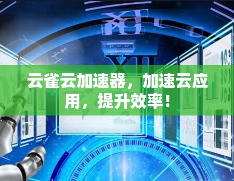 云雀云加速器，加速云应用，提升效率！