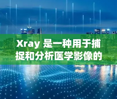 Xray 是一种用于捕捉和分析医学影像的设备或软件工具。以下是一份关于 Xray 使用指南的指南