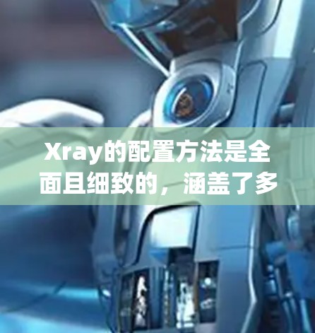 Xray的配置方法是全面且细致的，涵盖了多个层面，从用户界面设置到数据存储和备份，每个步骤都需要仔细处理。以下是一个系统化的配置步骤指南