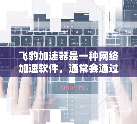 飞豹加速器是一种网络加速软件，通常会通过以下方式访问外部网络，并遇到以下常见问题
