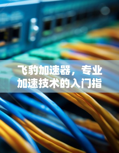 飞豹加速器，专业加速技术的入门指南