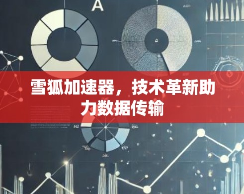 雪狐加速器，技术革新助力数据传输