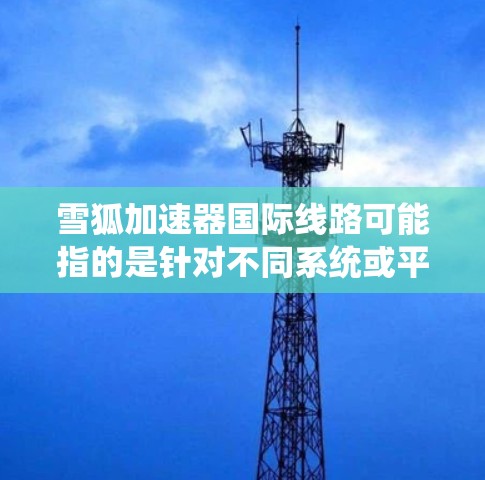 雪狐加速器国际线路可能指的是针对不同系统或平台的雪狐加速器版本。具体而言，可能是针对PC、手机、PS4、Xbox等不同设备或地区的加速工具。以下是一些可能的解释和步骤