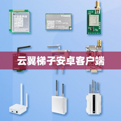 云翼梯子安卓客户端
