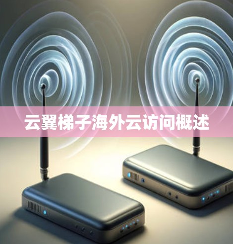 云翼梯子海外云访问概述