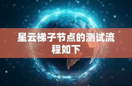 星云梯子节点的测试流程如下