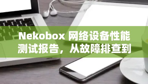 Nekobox 网络设备性能测试报告，从故障排查到优化升级