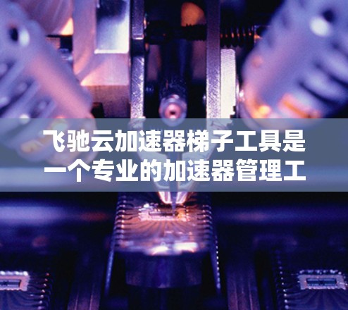 飞驰云加速器梯子工具是一个专业的加速器管理工具，旨在优化服务器和电脑性能。以下是对该工具的详细介绍