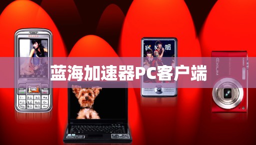 蓝海加速器PC客户端