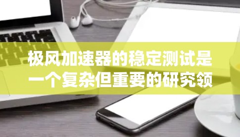 极风加速器的稳定测试是一个复杂但重要的研究领域，涉及多个方面，从设备设计、测试方法到实际应用的评估。以下是对该主题的系统性总结