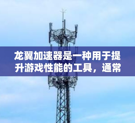 龙翼加速器是一种用于提升游戏性能的工具，通常用于加速龙翼游戏中的内容。它的稳定性和效果取决于加速器的设置和配置，以及加速器的稳定性。以下是一些关于龙翼加速器稳定体验的详细信息