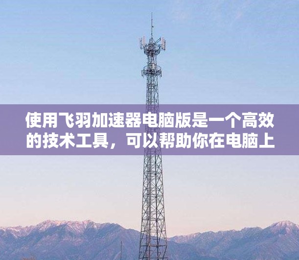 使用飞羽加速器电脑版是一个高效的技术工具，可以帮助你在电脑上优化飞行器的性能。以下是一些步骤指南，帮助你轻松使用飞羽加速器