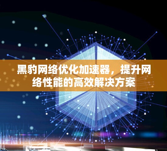 黑豹网络优化加速器，提升网络性能的高效解决方案