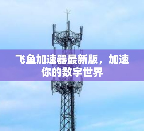 飞鱼加速器最新版，加速你的数字世界